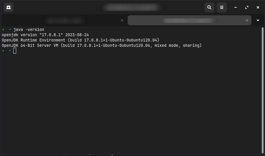 Terminal with "java -version" typed in